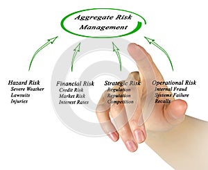 Aggregate Risk Management