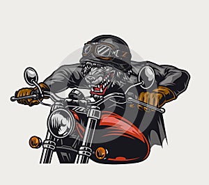 Aggressive animal biker vintage colorful concept