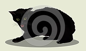 Aggressive black cat wit. Cat is angry. Cat hisses. Favorite pets. Realistic vector illustration.