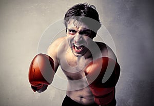 Aggressive boxer