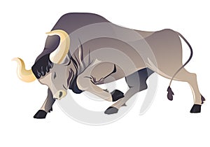Aggressive buffallo character running, frenzied bull or ox