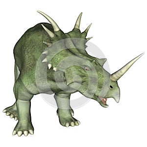 Aggressive Dinosaur Styracosaurus