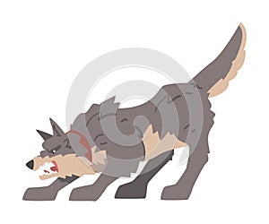 Aggressive Gray Dog Barking and Baring its Teeth Vector Illustration
