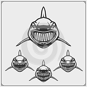 Aggressive shark set. Print design for t-shirts.