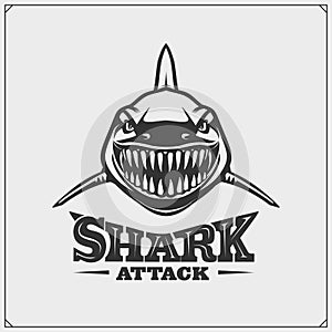 Aggressive shark for a sport team. Shark attak. Print design for t-shirts.