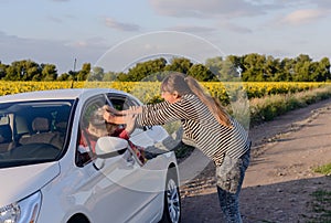 Aggressive Woman Pulling the Hair of a Car Driver
