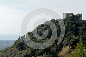 Aghinolfi Castle rises above the country of Montignoso near the city of Massa . Tuscany, Italy photo