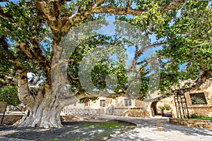 Agia Napa monastery courtyard entrance in Cyprus 3