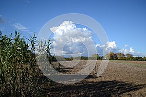 An agicultural field after harvest during autumn time photo