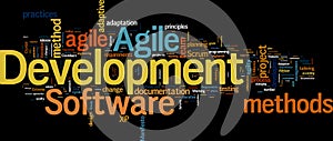 Agile Development Management