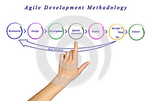 Agile Development Methodology