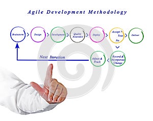 Agile Development Methodology