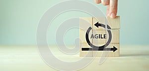 Agile management, the principles of agile software development and lean management