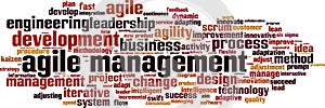 Agile management word cloud