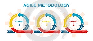 Agile project management, development methodology infographic. Agile software development lifecycle process sprints