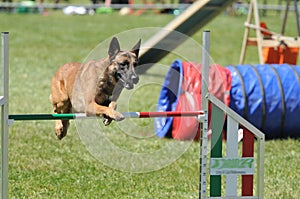 Agility