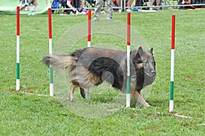 Agility