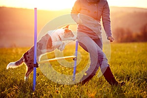 Agility on sunrise landscape background, woman and dog jumping o