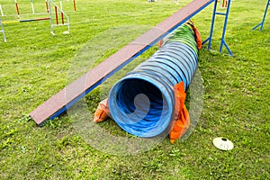 Agility dog camp