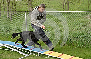 Agility Training photo