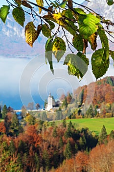Aging beech tree branch and landscape with old catholic church in background