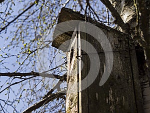 An aging birdhouse, empty and waiting for new residents