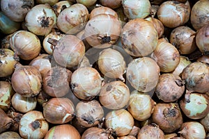 Aging onions in fresh market