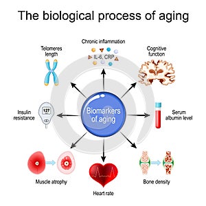 aging process. Frailty Biomarkers