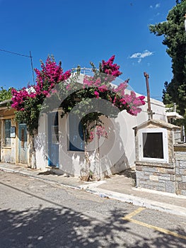 Agios Nikolaos, Crete, Greece. Pink flowers on the house. Greek village