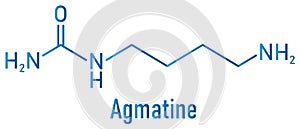 Agmatine or 4-aminobutylguanidine molecule. Skeletal formula. Chemical structure