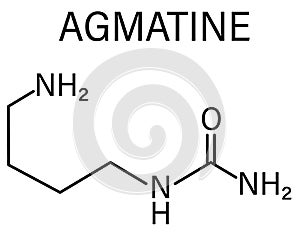 Agmatine or 4-aminobutylguanidine molecule. Skeletal formula. Chemical structure