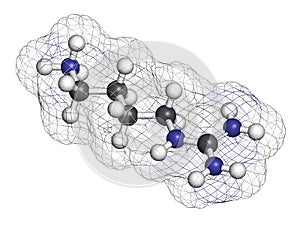 Agmatine molecule. 3D rendering. Atoms are represented as spheres with conventional color coding: hydrogen (white), carbon (grey