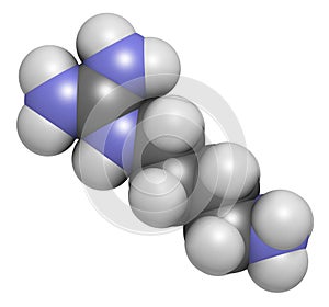 Agmatine molecule. 3D rendering. Atoms are represented as spheres with conventional color coding: hydrogen white, carbon grey.