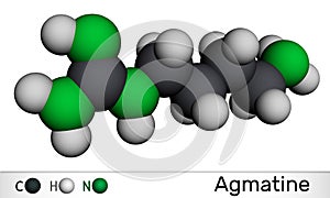 Agmatine molecule. It is amino compound, member of guanidines, natural metabolite of arginine. Molecular model. 3D rendering