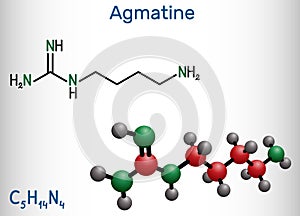 Agmatine molecule. It is amino compound, member of guanidines, natural metabolite of arginine. Structural chemical formula and