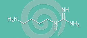 Agmatine molecule. Skeletal formula.