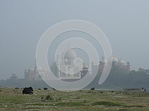 Agra, Uttar Pradesh, India - 08 Jan 2021 : Sunrise and morning fog at the Taj Mahal in Agra - India