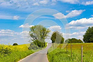 Agrarian fields and meadows with curved path, rural landscape in spring