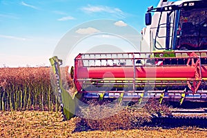 Agrarian industrial landscape with aggregates of a combine close-up, which collects a harvest on a field in a sunny day.