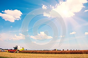 Agrarian industrial landscape with combine harvesters picking up hay on a field on a sunny day against a background of cloudy