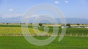 Agrarian landscape