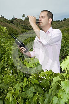 Agrarian man in vineyard tasting wine