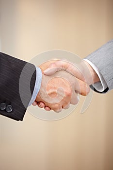 We are in agreement. Close up of two businessmen shaking hands.