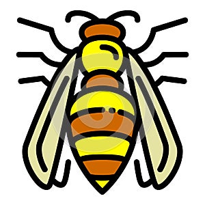 Agression wasp icon, outline style photo