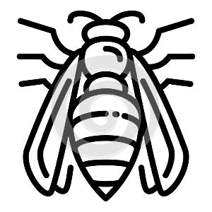 Agression wasp icon, outline style photo