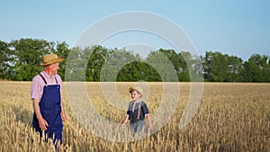 Agribusiness, male child runs to hug his elderly grandfather farmer wearing hat holding ears of wheat while walking