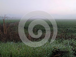 Agricultura field in autumn, fog in the field, view. photo