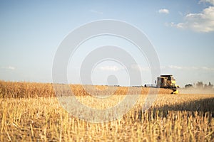 Agricultura machine working in fields photo