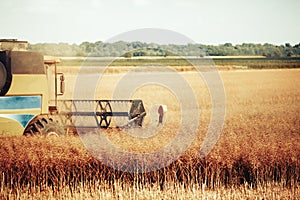 Agricultura machine working in fields photo