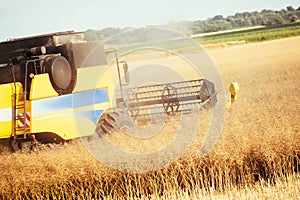 Agricultura machine working in fields photo